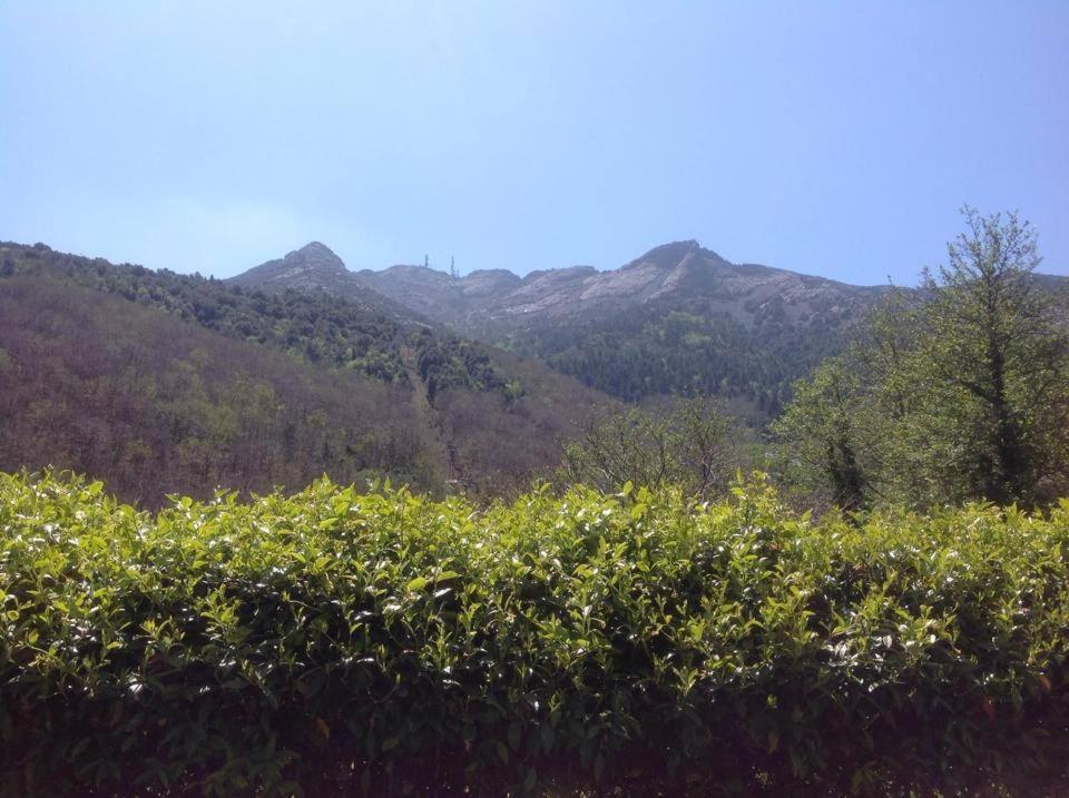 Valle Dei Mulini B&B Marciana  Zewnętrze zdjęcie